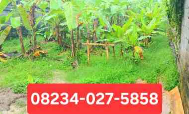 Disewakan Tanah 1000 m2 Kapal Mengwi Bali