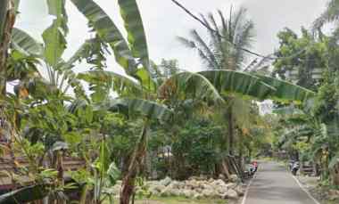 Tanah Disewakan di Balangan, Badung, Bali