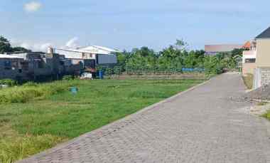 Dikontrakan 46,6 are, jl. Kedungdung Sari Cargo Ubung Kaja Denpasar