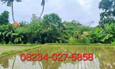 Disewakan Tanah 40 are jl Ahmad Yani Utara Peguyangan Denpasar Bali