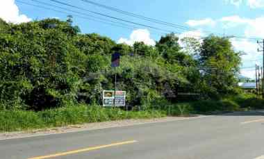 disewakan tanah jalan trans kalimantan