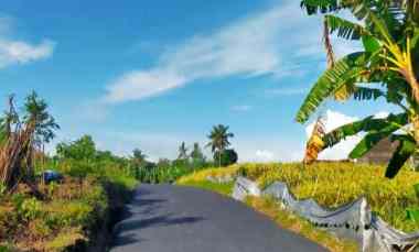 Tanah dekat Nirjhara dan 5 menit dari Pantai Kedungu Bali