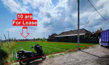 disewakan tanah pantai mengening