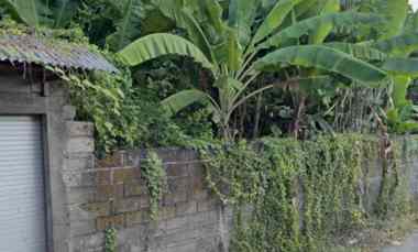 disewakan tanah pulau saelus