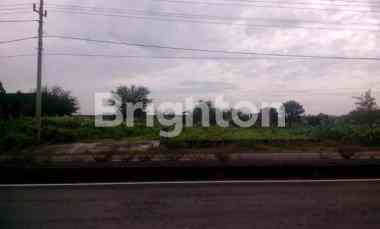 Tanah Lamongan Babat Hadap Jalan Raya sudah Urug Siap Bangun