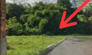 Dikontrakan 4,7 are, jl. Munduk Batu Belah Sempol Pererenan Mengwi