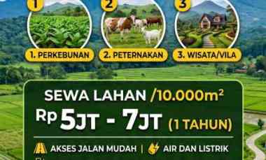 disewakan tanah sukadamai