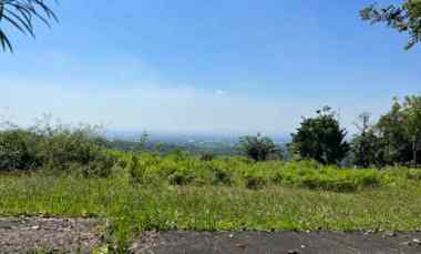 Tanah 20X60 Cocok untuk Usaha di Taman Dayu, Prigen Pasuruan