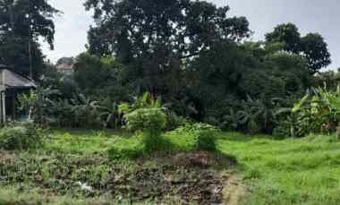 disewakan tanah umalas lestaru