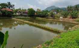 Empang Luas di Rumpin Bogor Barat