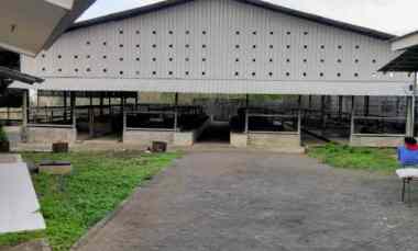 Ex Kandang Sapi Siap Operasi