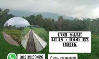 For Sale Sawah Produktif, View Bagus Subang Jawa Barat