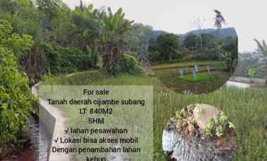 For Sale, Tanah Daerah Cijambe Subang Jawa Barat