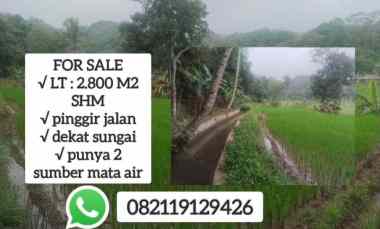 For Sale Tanah Sumber Mata Air, Subang Jawa Barat