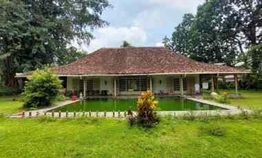 Jual Cepat Beli Tanah Bonus Rumah di Pogung