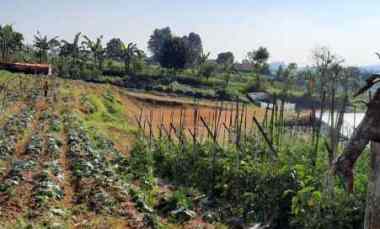 jual cepat tanah 420 m2