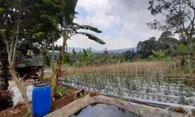 Jual Cepat Tanah dekat Kawasan Wisata di Ciater Subang