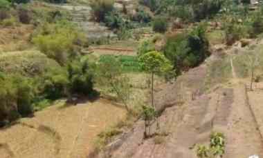 Jual Cepat Tanah Kamarung