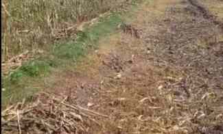 Tanah Dijual di Jl. Teratai Sooko Mojokerto