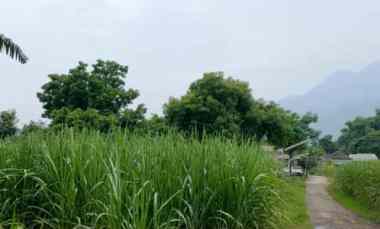 Jual Cepat Tanah Strategis