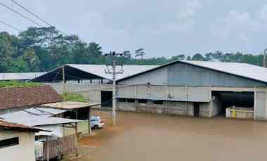 Komersial Dijual di Batang jawa tengah