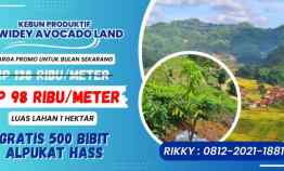 Tanah Dijual di Bandung, Pangalengan, Ciwidey Lembang