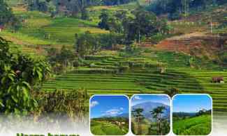 Jual Kavling Villa Mirip di Ubud Bali