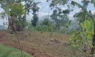 Jual Kebun Murah Ciwidey Bandung