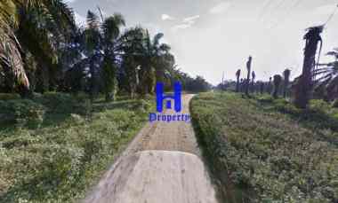 Jual Kebun Sawit Daerah Gohor Lama, Kec. Wampu - Langkat