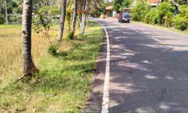 Jual Lahan Sawah Pinggir Jalan Raya