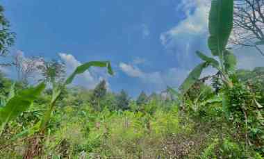 Tanah Dijual di Bojong