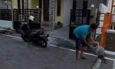 jual rumah minimalis murah