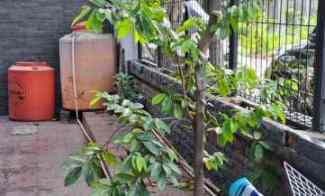 Jual Rumah Taman Kencana Jak Bar