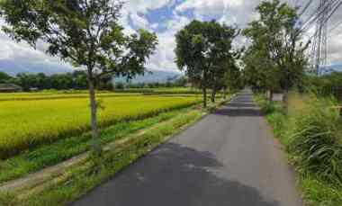 Sawah Murah Milik Gugum Gumbira Alm Jual Sawah Majalaya Bandung