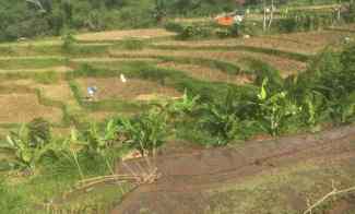 Tanah Dijual di Jalan raya ciloa padalarang