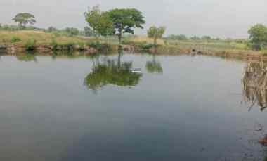 Tanah Dijual di Jabon