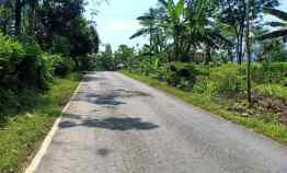 Jual Tanah 20 Hektar jl Raya Kerjo Karanganyar