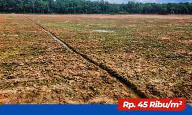 Jual Tanah 26 Hektar di Pulau Harapan, Banyuasin Sumsel