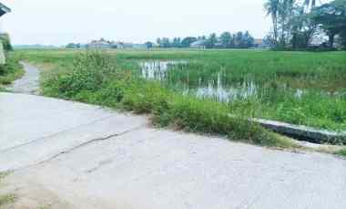 Jual Tanah 6.263 m2 di Mauk Tangerang dekat Pasar Mauk