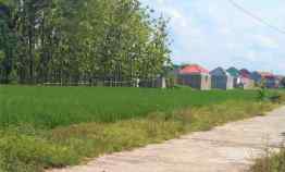 Jual Tanah Cocok untuk Kavling Sragen Kota