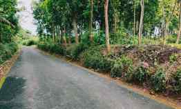 Jual Tanah Datar Barat Pasar Karangpandan Karanganyar