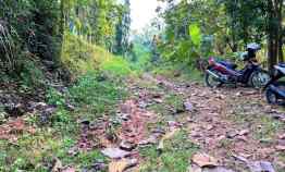Jual Tanah dekat Aliran Sungai