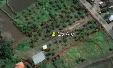 Tanah Dijual di Keramas giayar