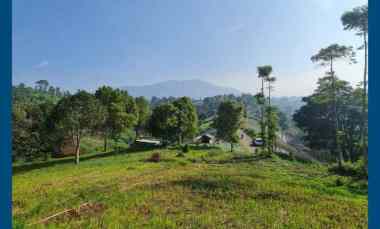 Tanah Dijual di Ngamprah, Padalarang, Bandung