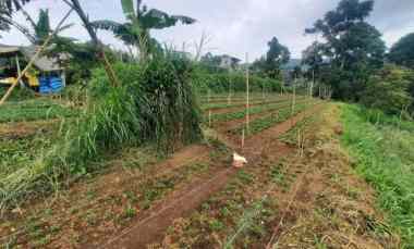 Jual Tanah di Jalan Sukadami, Lembang