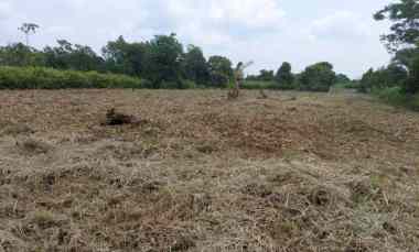 Jual Tanah Jalan Gulama 1 Pekanbaru