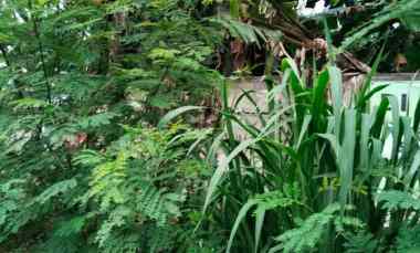 Jual Tanah jl Utama Karang Tengah