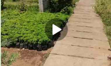 Jual Tanah Kav Dki Meruya Utara