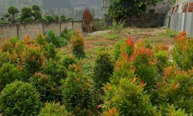 Jual Tanah Kav DKI Meruya Utara Jak Bar