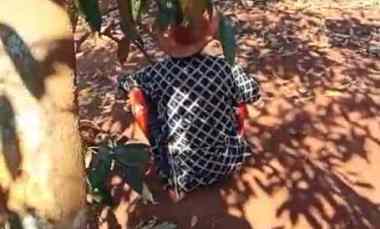 Jual Tanah Kebun Durian Murah